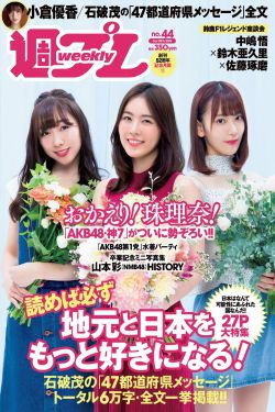 新仙鹤神针国语